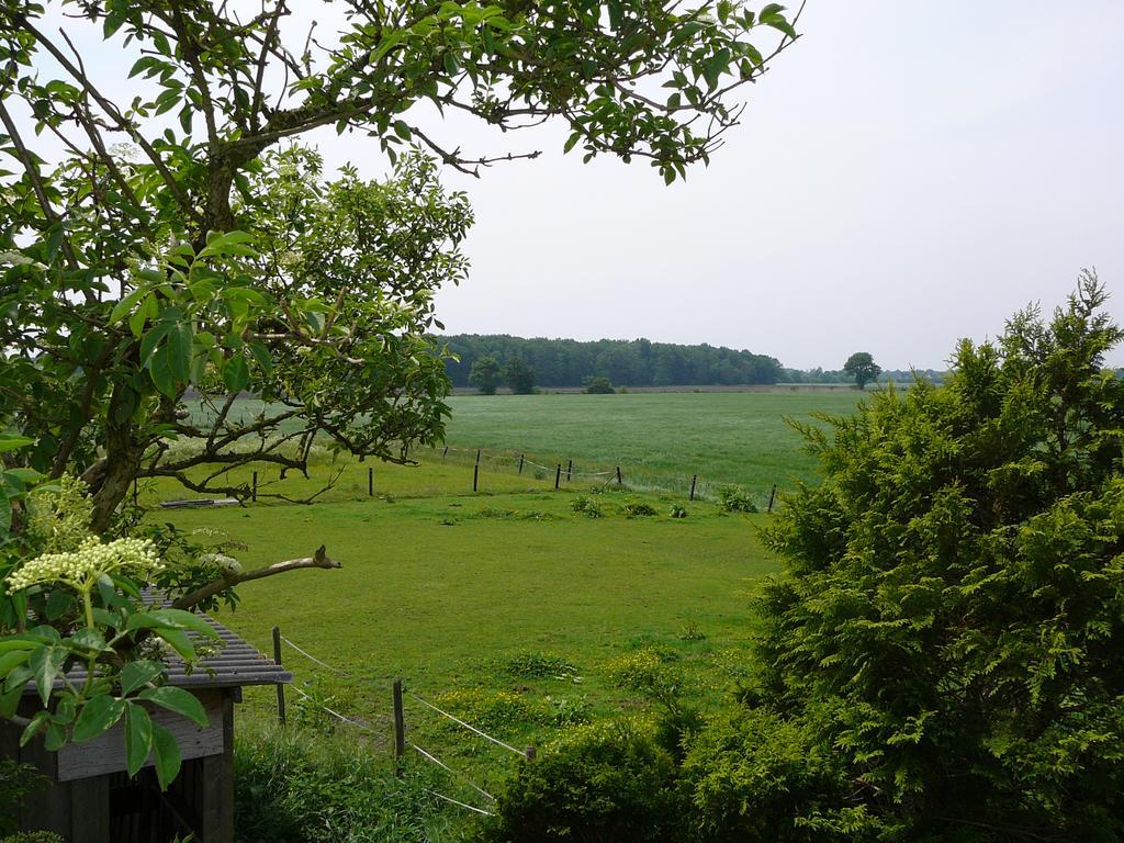 zonneraai Villa Nieuweroord Buitenkant foto